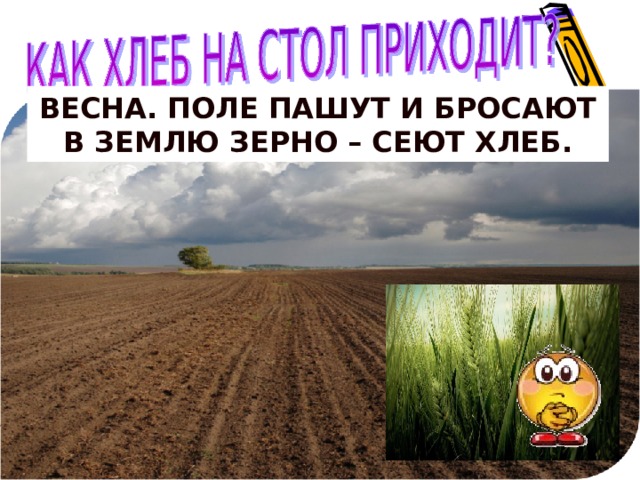 Зерно сеют или сеят как правильно. Посеянное зерно. Посеять зерно сомнения. Зерно в земле. Рождение хлеба окружающий мир 3 класс земля пшеница.