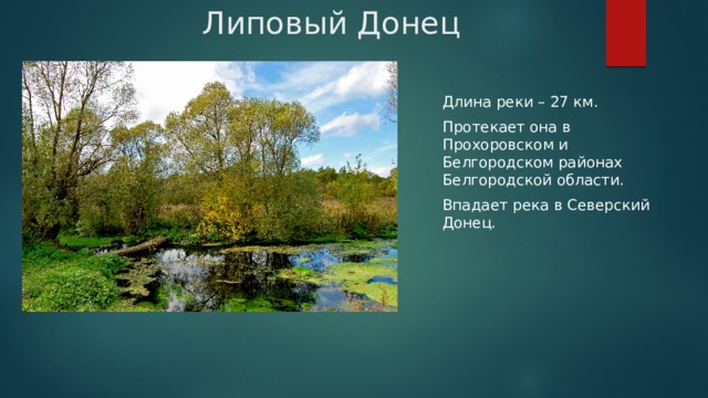Липовый Донец Длина реки – 27 км. Протекает она в Прохоровском и Белгородском районах Белгородской области. Впадает река в Северский Донец. 