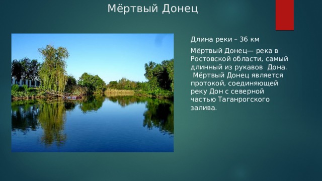 Мёртвый Донец Длина реки – 36 км Мёртвый Донец— река в Ростовской области, самый длинный из рукавов Дона.  Мёртвый Донец является протокой, соединяющей реку Дон с северной частью Таганрогского залива. 