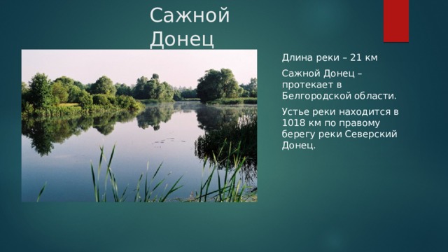 Сажной Донец Длина реки – 21 км Сажной Донец – протекает в Белгородской области. Устье реки находится в 1018 км по правому берегу реки Северский  Донец. 