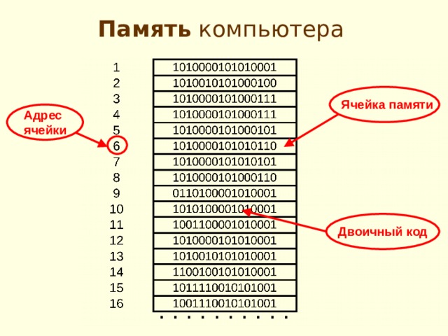 Ячейка памяти компьютера состоит из однородных