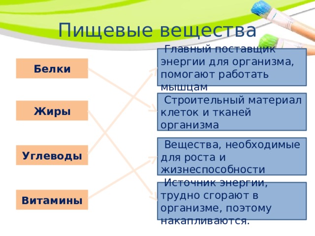 Строительный материал клетки. Вещества необходимые для жизнеспособности. Пищевые вещества для строительного материала. Вещества поставщики энергии. Главный поставщик энергии для тела.