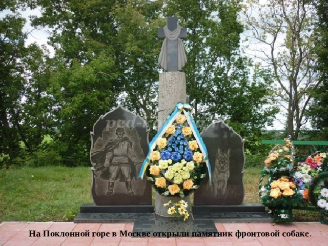 На  Поклонной горе в Москве открыли памятник фронтовой собаке .