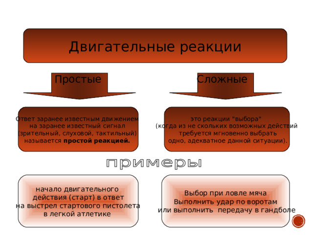 Двигательные реакции Простые Сложные Ответ заранее известным движением на заранее известный сигнал (зрительный, слуховой, тактильный) называется простой реакцией.  это реакции 