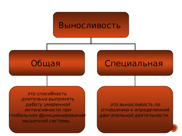 Выносливость Общая Специальная это выносливость по  отношению к определенной двигательной деятельности.  это способность  длительно выполнять  работу умеренной  интенсивности при  глобальном функционировании мышечной системы.  