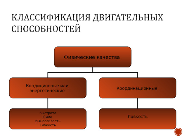 Физические качества Кондиционные или энергетические Координационные Быстрота Сила Выносливость Гибкость Ловкость 