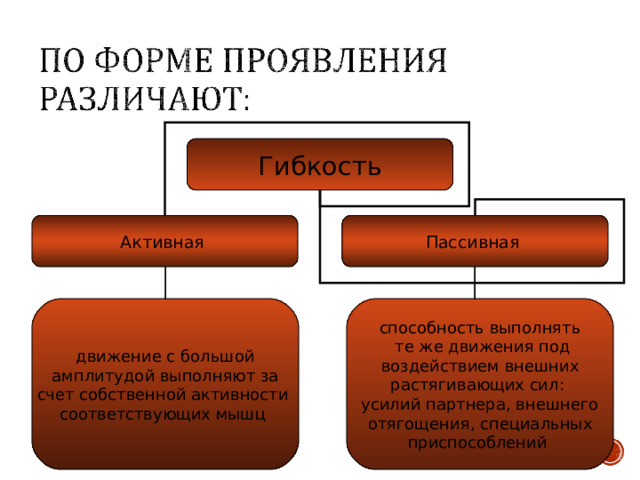 Гибкость Активная Пассивная движение с большой  амплитудой выполняют за счет собственной активности соответствующих мышц способность выполнять  те же движения под  воздействием внешних растягивающих сил: усилий партнера, внешнего  отягощения, специальных приспособлений    
