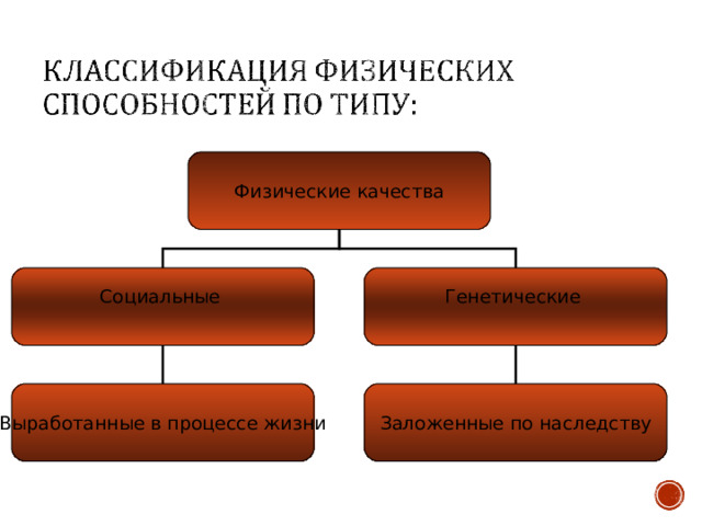 Физические качества Социальные Генетические Выработанные в процессе жизни Заложенные по наследству 