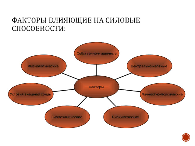 Собственно-мышечные Физиологические Центрально-нервные Факторы Условия внешней среды Личностно-психические Биомеханические Биохимические 