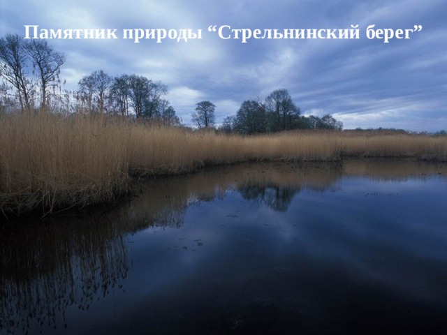 Памятник природы “Стрельнинский берег” 