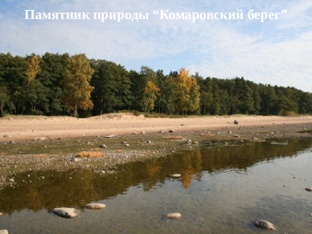 Памятник природы “Комаровский берег” 