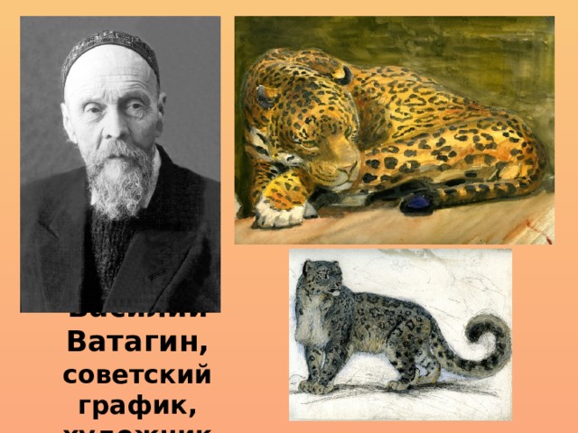 Василий Ватагин, советский график, художник 