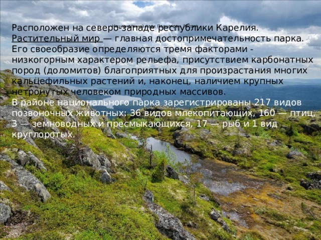 Расположен на северо-западе республики Карелия. Растительный мир — главная достопримечательность парка. Его своеобразие определяются тремя факторами - низкогорным характером рельефа, присутствием карбонатных пород (доломитов) благоприятных для произрастания многих кальцефильных растений и, наконец, наличием крупных нетронутых человеком природных массивов. В районе национального парка зарегистрированы 217 видов позвоночных животных: 36 видов млекопитающих, 160 — птиц, 3 — земноводных и пресмыкающихся, 17 — рыб и 1 вид круглоротых. Национальный парк Паанаярви. Россия.    