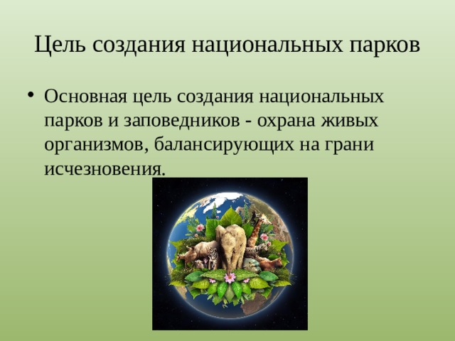 Цель создания национальных парков Основная цель создания национальных парков и заповедников - охрана живых организмов, балансирующих на грани исчезновения. 