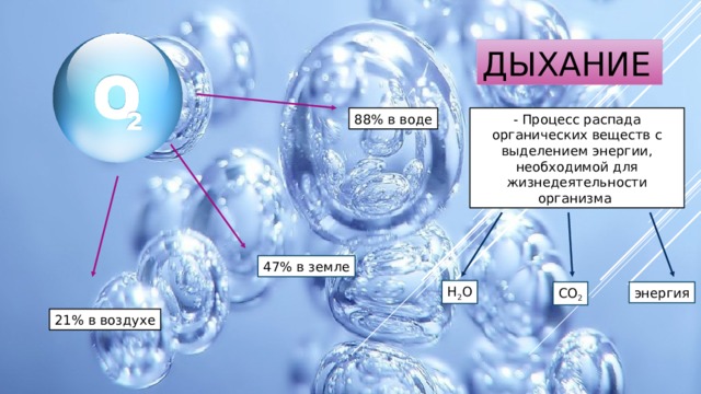 Дыхание 88% в воде - Процесс распада органических веществ с выделением энергии, необходимой для жизнедеятельности организма 47% в земле Н 2 О СО 2 энергия 21% в воздухе 