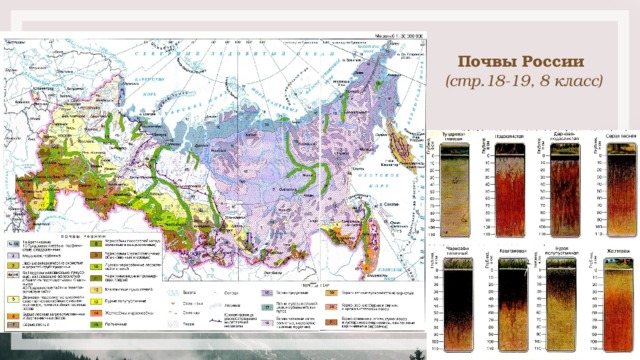 Почвы России  (стр.18-19, 8 класс) 