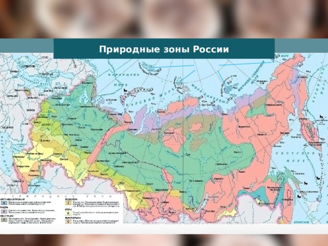 Природные зоны России 