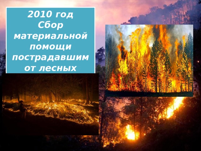  2010 год Сбор материальной помощи пострадавшим от лесных пожаров 