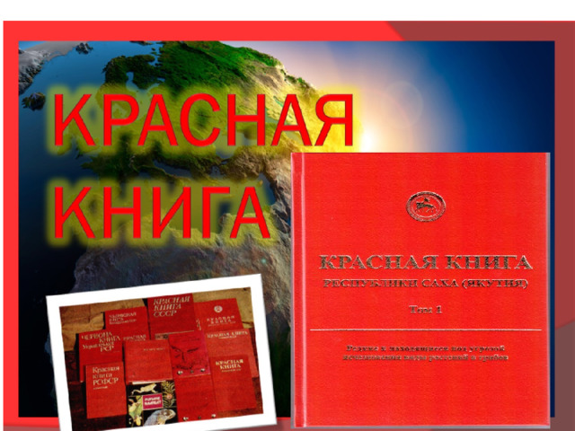 Красная книга   