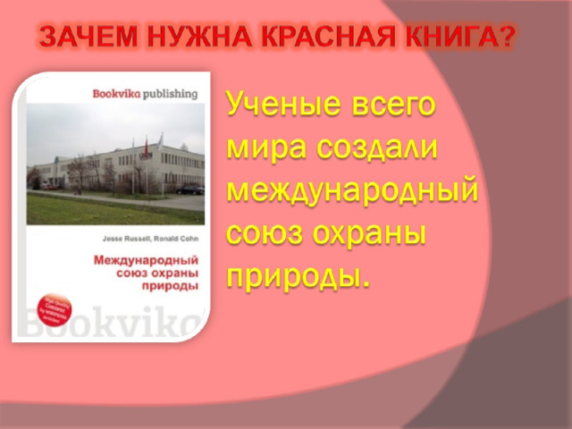 Ученые всего мира создали международный союз охраны природы.    