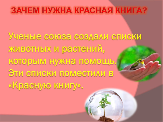  Ученые союза создали списки животных и растений, которым нужна помощь.  Эти списки поместили в «Красную книгу».   