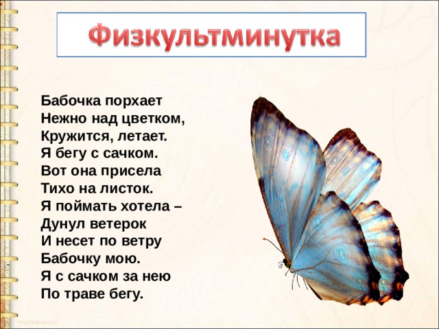 Бабочка порхает  Нежно над цветком,  Кружится, летает.  Я бегу с сачком.  Вот она присела  Тихо на листок.  Я поймать хотела –  Дунул ветерок  И несет по ветру  Бабочку мою.  Я с сачком за нею  По траве бегу. 