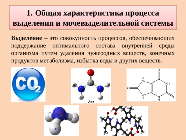 Какие конечные вещества