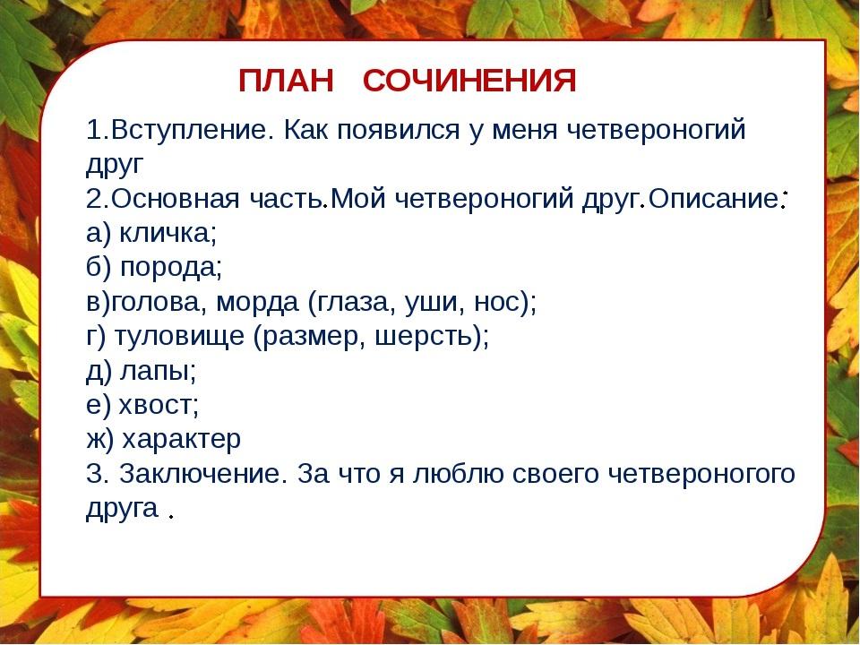 Русский сочинение описание. План сочинения про животное. План сочинения мое любимое животное. План сочинения мой любимый питомец. План сочинения описания 5 класс.