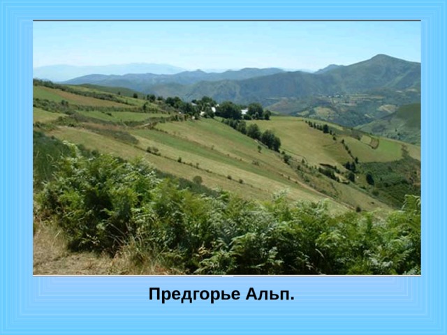 Предгорье Альп. 