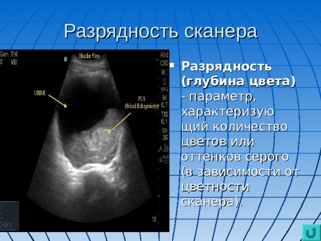 Разрядность сканера Разрядность (глубина цвета) - параметр, характеризую­щий количество цветов или оттенков серого (в зависимос­ти от цветности сканера). 