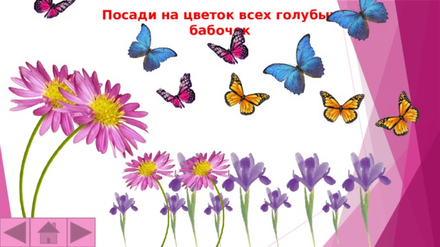 Посади на цветок всех голубых бабочек 