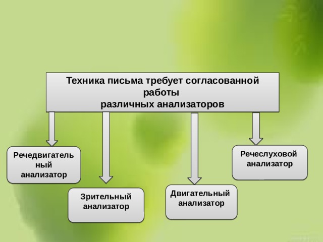Техника письма требует согласованной работы различных анализаторов Речеслуховой анализатор Речедвигательный анализатор Двигательный анализатор Зрительный анализатор 