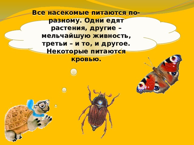 Все насекомые питаются по-разному. Одни едят растения, другие – мельчайшую живность, третьи – и то, и другое. Некоторые питаются кровью. 