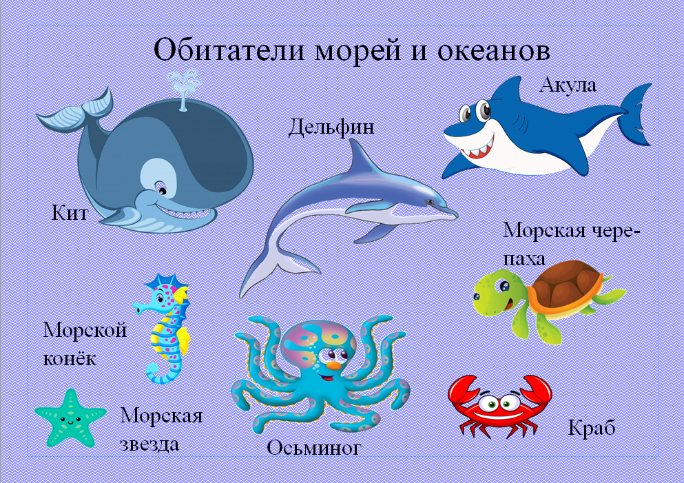 Рыбы морей и океанов картинки для детей с названиями. Морские обитатели для дошкольников. Обитатели черного моря для детей. Схема обитателей моря и океана. Обитатели морей и океанов младшая группа