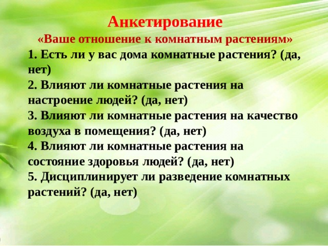 Влияние комнатных растений на здоровье человека индивидуальный проект