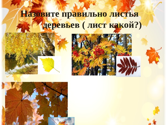  Назовите правильно листья деревьев ( лист какой?) 