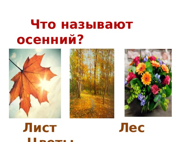   Что называют осенний?   Лист Лес Цветы 
