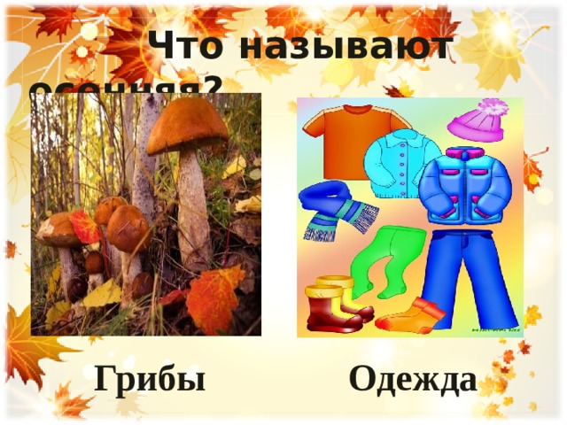 Что называют осенняя?  Грибы Одежда  