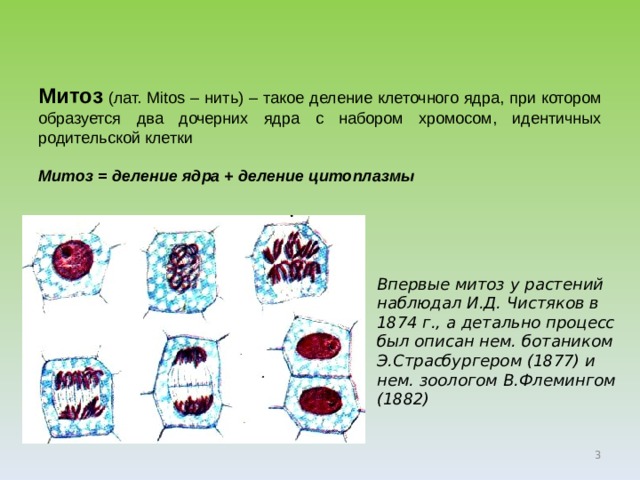 Митоз  ( лат. Mitos – нить) –  такое деление клеточного ядра, при котором образуется два дочерних ядра с набором хромосом, идентичных родительской клетки  Митоз = деление ядра + деление цитоплазмы Впервые митоз у растений наблюдал И.Д. Чистяков в 1874 г., а детально процесс был описан нем. ботаником Э.Страсбургером (1877) и нем. зоологом В.Флемингом (1882)  