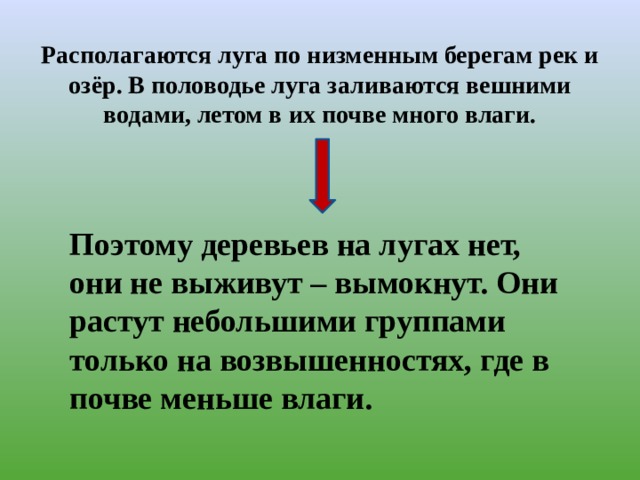 Располагаются луга по низменным берегам рек и озёр. В половодье луга заливаются вешними водами, летом в их почве много влаги.   Поэтому деревьев на лугах нет, они не выживут – вымокнут. Они растут небольшими группами только на возвышенностях, где в почве меньше влаги. 