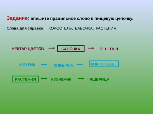 Цепь лугового сообщества