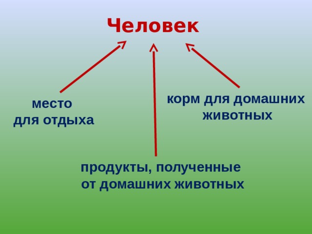 Экскурсия в лес и на луг 4 класс окружающий мир презентация школа россии