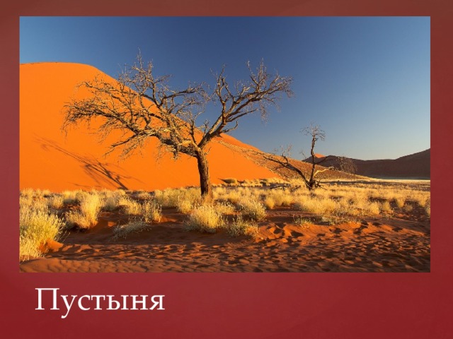 Пустыня 