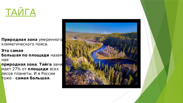 ТАЙГА   Природная   зона  умеренного климатического пояса.  Это   самая большая   по   площади  наземная  природная   зона .  Тайга  занимает 27% от  площади  всех лесов планеты. И в России тоже -  самая   большая .  