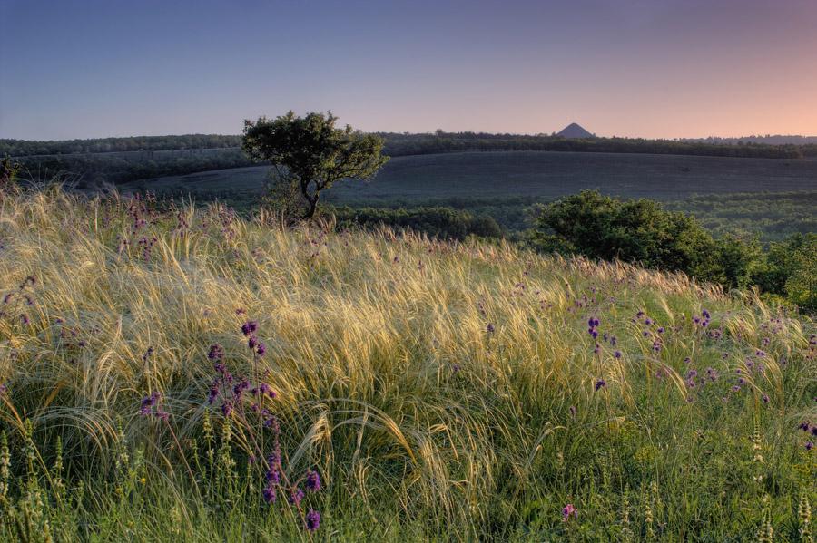 Донецкий край фото