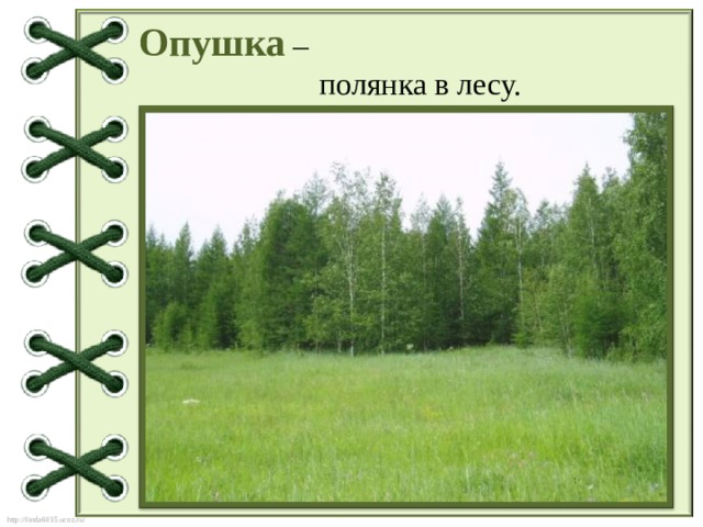 Опушка –  полянка в лесу. 