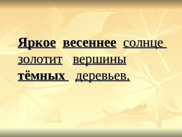  Яркое  весеннее  солнце  золотит  вершины   тёмных  деревьев.  