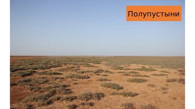 Полупустыни 
