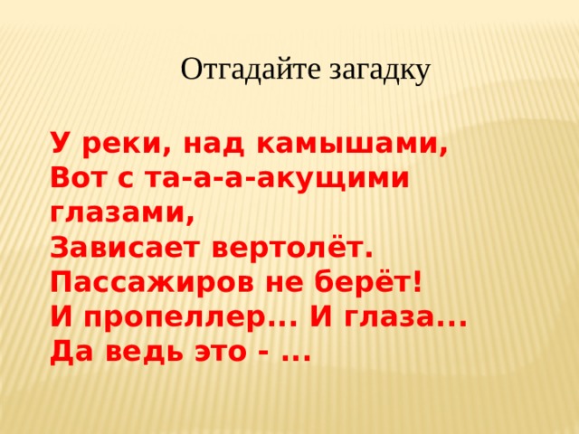  Отгадайте загадку У реки, над камышами, Вот с та-а-а-акущими глазами, Зависает вертолёт. Пассажиров не берёт! И пропеллер... И глаза... Да ведь это - ... 