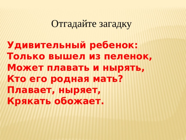 Отгадайте загадку  Удивительный ребенок: Только вышел из пеленок, Может плавать и нырять, Кто его родная мать? Плавает, ныряет, Крякать обожает. 